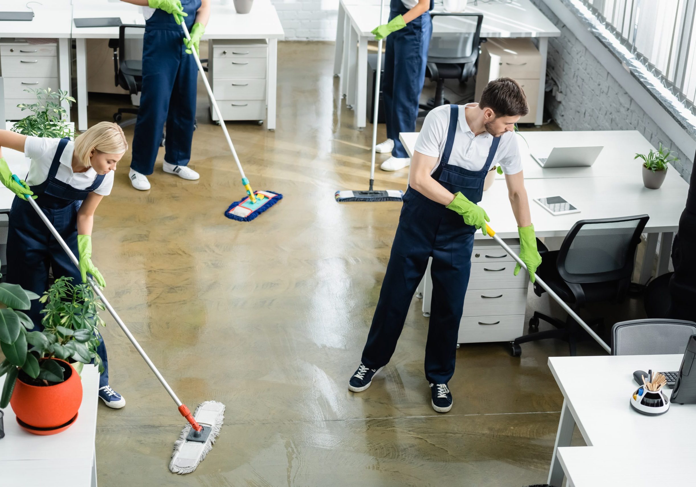 Professional Cleaning Services